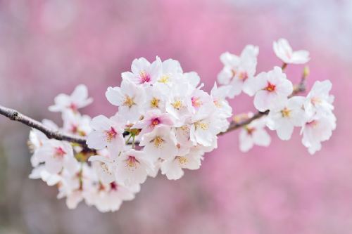 Spring optimism in property market
