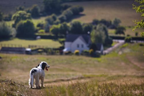 House prices increase by 87 per cent in past 20 years here in the east