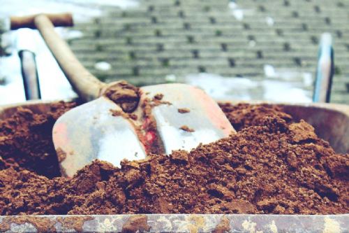 Biodiversity Net Gain requirements are delaying building work