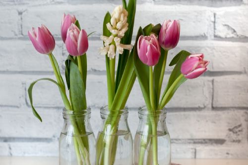 Bring in the Spring