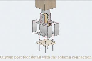 View Custom Post Foot Detail